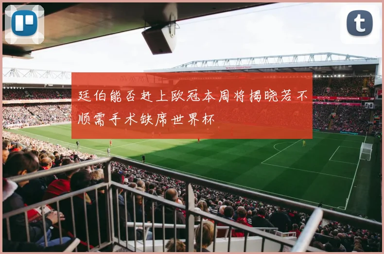 廷伯能否赶上欧冠本周将揭晓若不顺需手术缺席世界杯